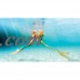 Mahina Mermaid MerFin Adult Classic Swimming Fin, Adult Large, Coral   555642188